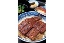 ◎WEB予約でリボンポイント3ポイント◎【一宮・木曽川発】*日帰り昼食付『GW(ゴールデンウィーク)プチ旅 ミステリーツアー』1